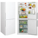 Lodówka Candy Fresco CCE3T618FW