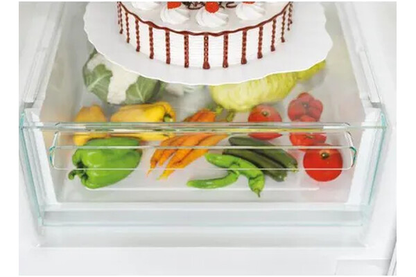 Lodówka Candy Fresco CCE3T618FW