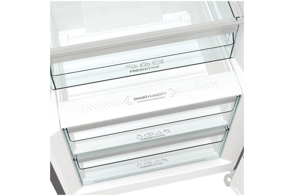 Lodówka Gorenje R619EAXL6