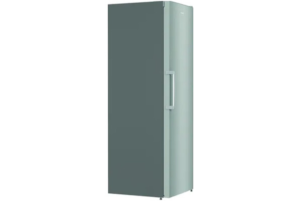 Lodówka Gorenje R619EES5