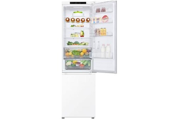 Lodówka LG GBV3200DSW