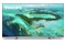 Telewizor Philips 65PUS7657/12 65" 4K Ultra HD