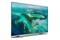 Telewizor Philips 50PUS7657/12 50" 4K Ultra HD