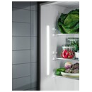 Lodówka Electrolux LTB1AF28U0