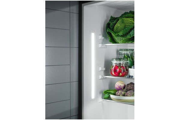Lodówka Electrolux LTB1AF28U0