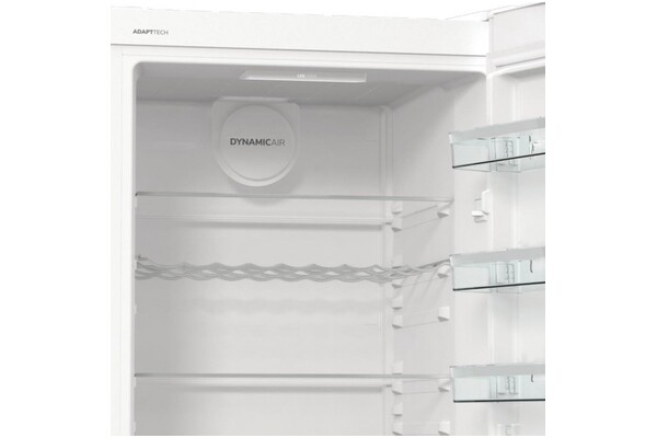 Lodówka Gorenje R619EAW6