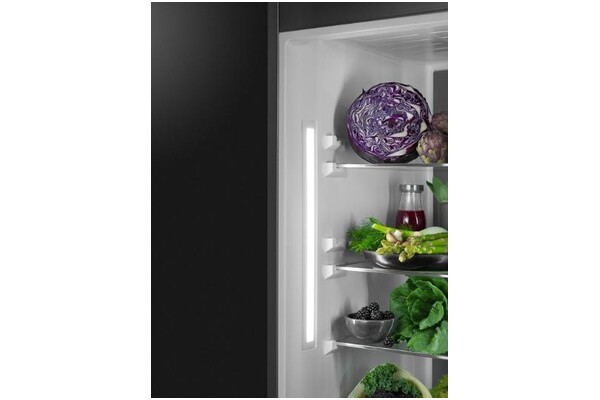 Lodówka do zabudowy AEG-Electrolux SCB618F3LS