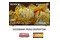 Telewizor Sony XR85X90L 85" 4K Ultra HD