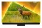 Telewizor Philips 65PML9308/12 65" 4K Ultra HD