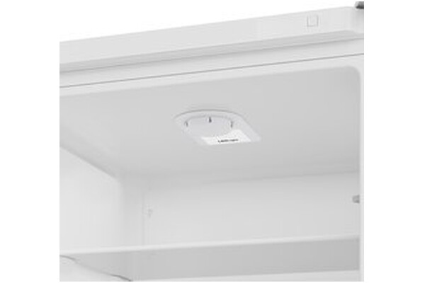 Lodówka Beko RCSA300K40WN