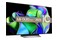 Telewizor LG 77C31LA 77" 4K Ultra HD