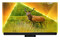 Telewizor Philips 55PML9308/12 55" 4K Ultra HD