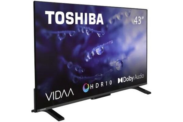 Telewizor TOSHIBA 43LV2E63DG 43" Full HD
