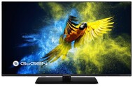 Telewizor GoGEN TVF32M340STWEB 32" Full HD
