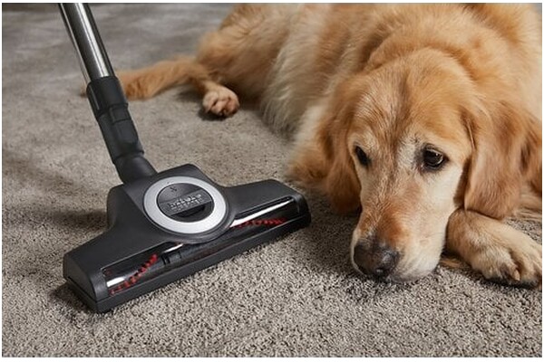 Odkurzacz MIELE SKCF5 Blizzard CX1 Cat&Dog PowerLine tradycyjny bezworkowy 890W czerwony