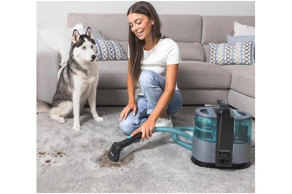 Odkurzacz Cecotec 4000 Conga Carpet & Spot Clean tradycyjny z pojemnikiem 400W niebiesko-szary