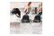 Odkurzacz Cecotec 4000 Conga Carpet & Spot Clean tradycyjny z pojemnikiem 400W niebiesko-szary