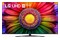 Telewizor LG 55UR81003LJ 55" 4K Ultra HD