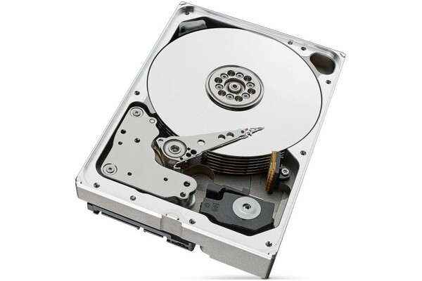 Dysk wewnętrzny Seagate ST10000VN000 Ironwolf HDD SATA (3.5") 10TB