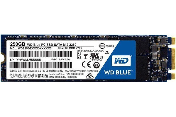 Dysk wewnętrzny WD WDBK3U2500ANC Blue SSD M.2 NVMe 250GB