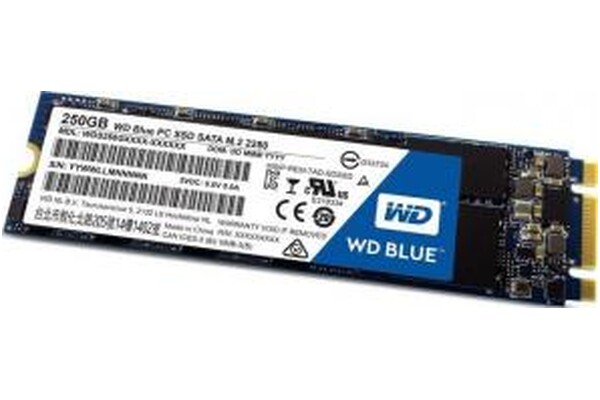 Dysk wewnętrzny WD WDBK3U2500ANC Blue SSD M.2 NVMe 250GB