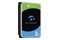 Dysk wewnętrzny Seagate ST2000VX017 Skyhawk HDD SATA (3.5") 2TB