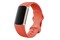Smartwatch FITBIT Charge 1.04" pomarańczowy