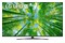 Telewizor LG 60UQ81003LB 60" 4K Ultra HD