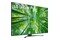 Telewizor LG 60UQ81003LB 60" 4K Ultra HD