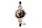 Smartwatch MaxCom FW51 Crystal 1.09" złoty