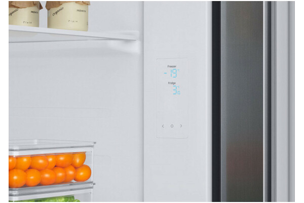 Lodówka Samsung RS66A8100S9