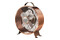 wentylator Biurkowy Adler AD7324
