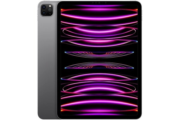 Tablet Apple iPad Pro 11" Apple M2 8GB/2048GB, szary