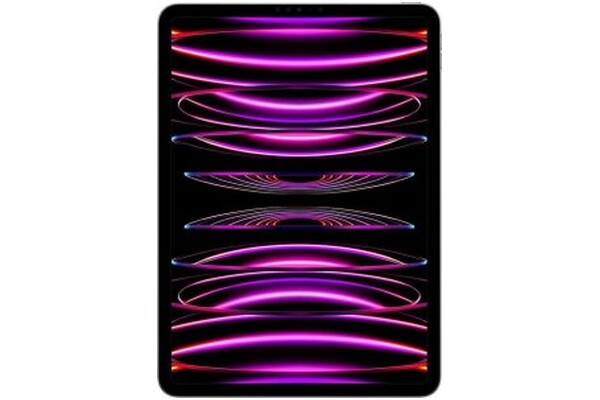 Tablet Apple iPad Pro 11" Apple M2 8GB/2048GB, szary