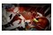 Metroid Dread Nintendo Switch