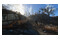 Fallout 4 PC