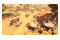 Expeditions Rome PC