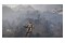 ELEX PC