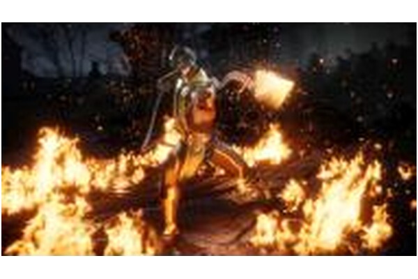 Mortal Kombat 11 Ultimate Nintendo Switch