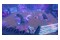 Star Trek Protogwiazda Supernowa Nintendo Switch