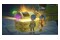 Dragon Quest Treasures Nintendo Switch