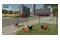 Farming Simulator 23 Nintendo Switch