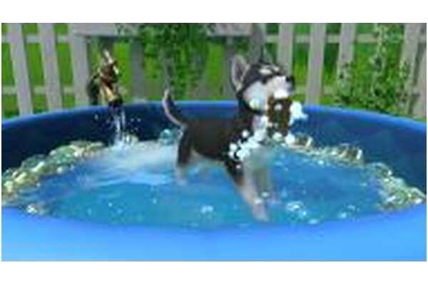 Little Friends Puppy Island Nintendo Switch