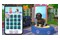 Little Friends Puppy Island Nintendo Switch