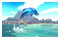 Dolphin Spirit Ocean Mission Nintendo Switch