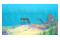 Dolphin Spirit Ocean Mission Nintendo Switch
