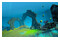 Dolphin Spirit Ocean Mission Nintendo Switch