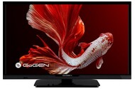 Telewizor GoGEN TVH24P352T 24" HD Ready