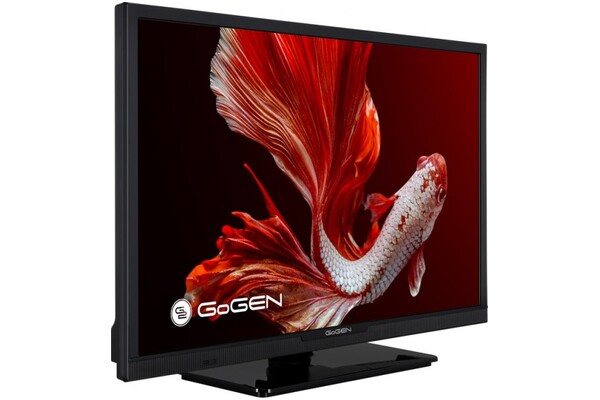 Telewizor GoGEN TVH24P352T 24" HD Ready