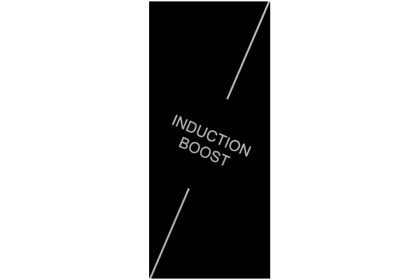Płyta indukcyjna BERG BRGI6080